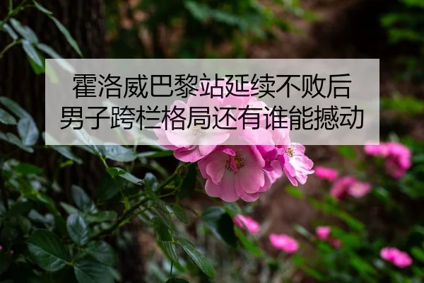 霍洛威巴黎站延续不败后 男子跨栏格局还有谁能撼动