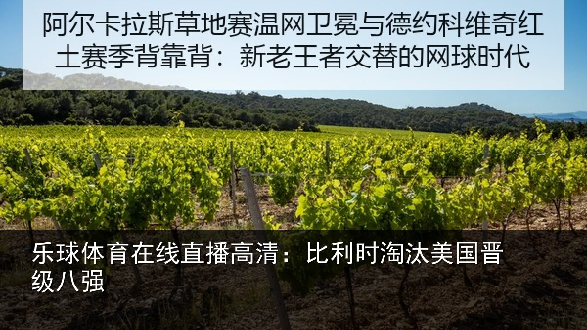 乐球体育在线直播高清：比利时淘汰美国晋级八强